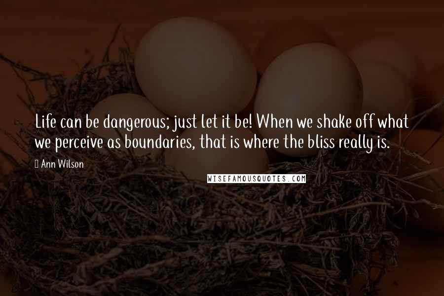 Ann Wilson Quotes: Life can be dangerous; just let it be! When we shake off what we perceive as boundaries, that is where the bliss really is.