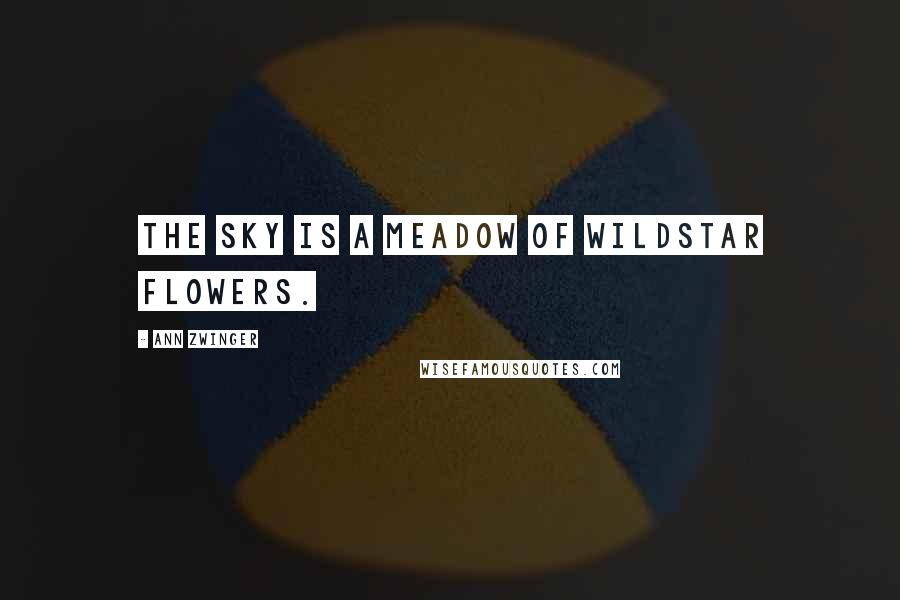 Ann Zwinger Quotes: The sky is a meadow of wildstar flowers.