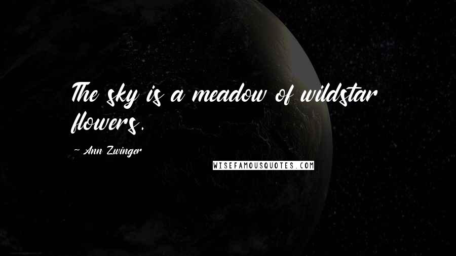 Ann Zwinger Quotes: The sky is a meadow of wildstar flowers.