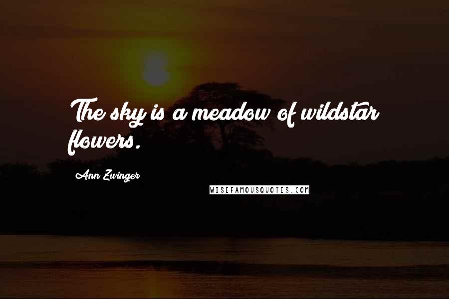 Ann Zwinger Quotes: The sky is a meadow of wildstar flowers.