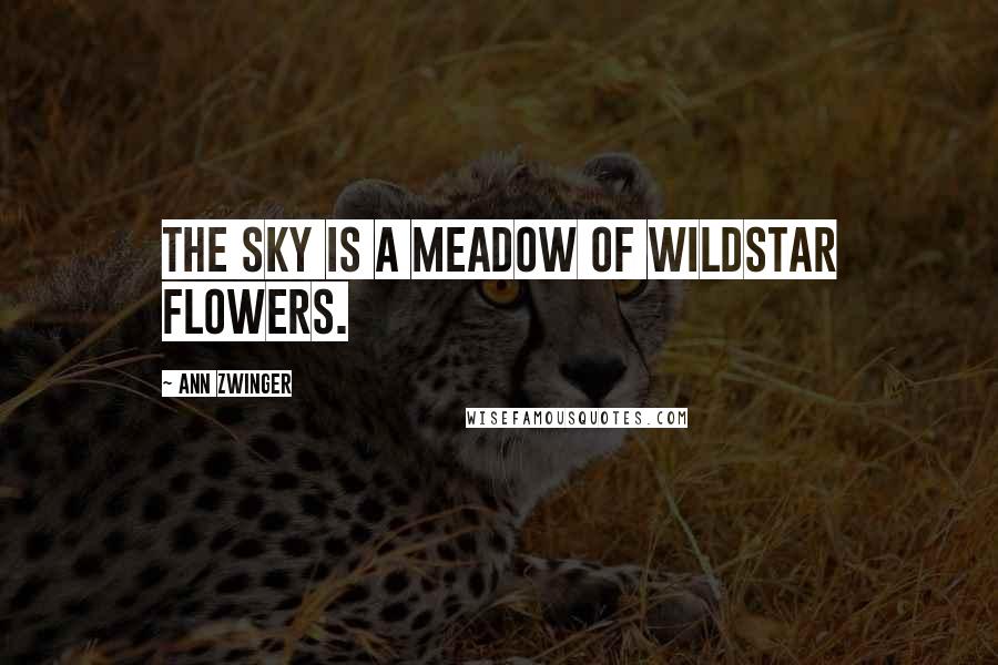 Ann Zwinger Quotes: The sky is a meadow of wildstar flowers.