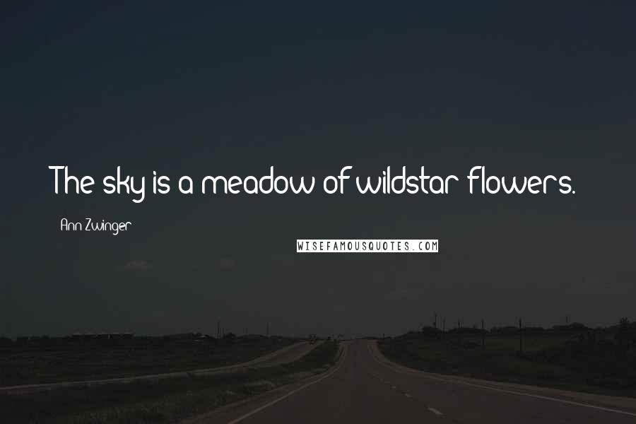 Ann Zwinger Quotes: The sky is a meadow of wildstar flowers.