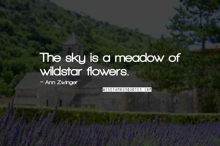 Ann Zwinger Quotes: The sky is a meadow of wildstar flowers.