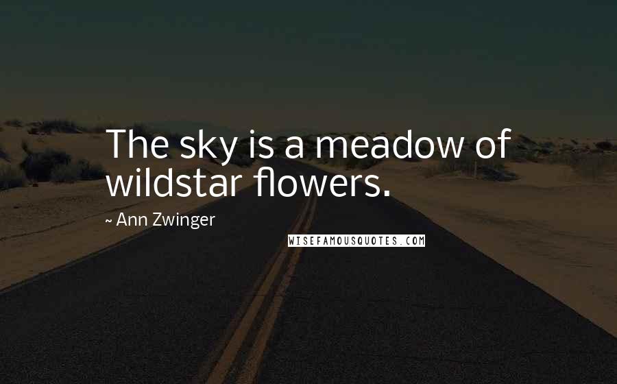Ann Zwinger Quotes: The sky is a meadow of wildstar flowers.