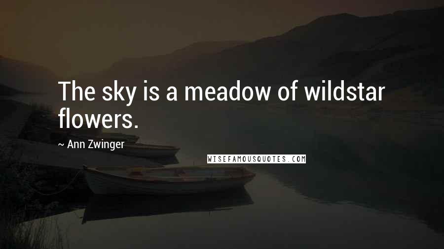 Ann Zwinger Quotes: The sky is a meadow of wildstar flowers.