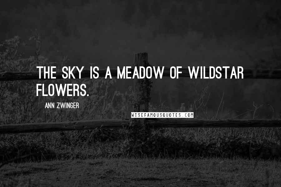 Ann Zwinger Quotes: The sky is a meadow of wildstar flowers.