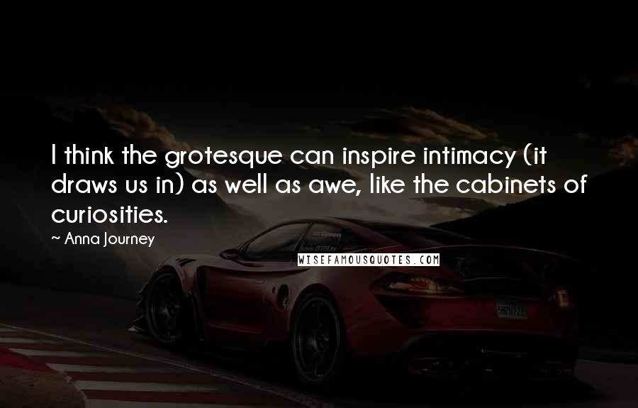 Anna Journey Quotes: I think the grotesque can inspire intimacy (it draws us in) as well as awe, like the cabinets of curiosities.