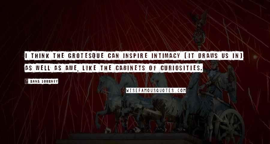 Anna Journey Quotes: I think the grotesque can inspire intimacy (it draws us in) as well as awe, like the cabinets of curiosities.
