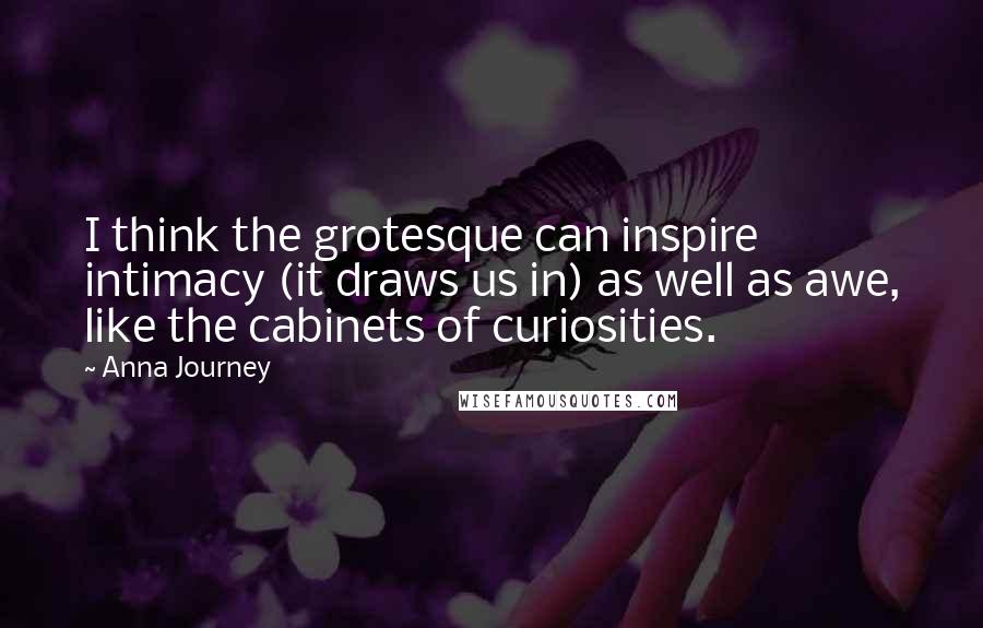 Anna Journey Quotes: I think the grotesque can inspire intimacy (it draws us in) as well as awe, like the cabinets of curiosities.