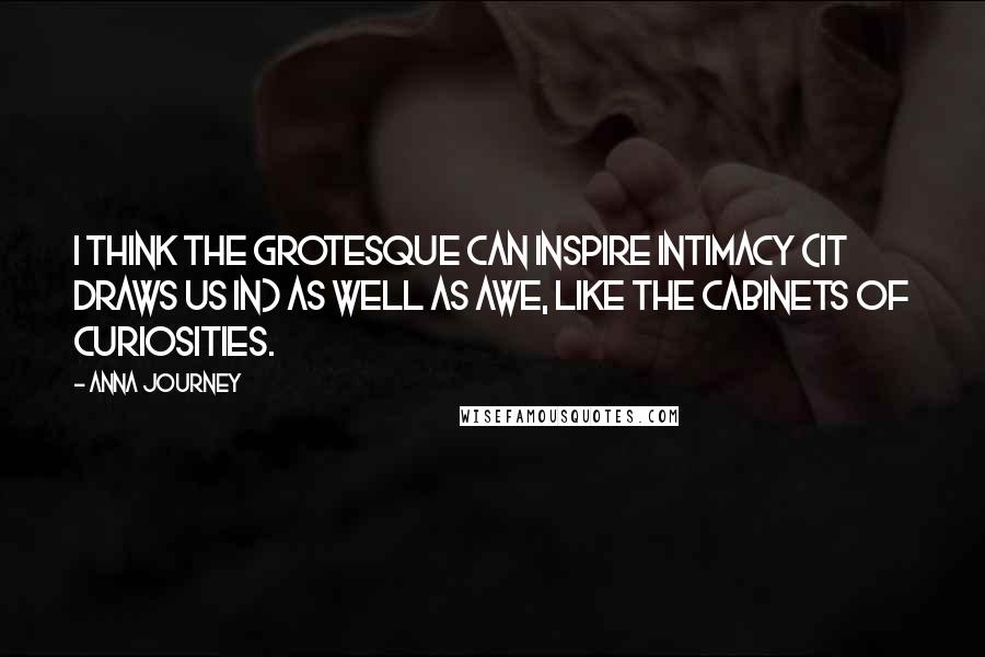 Anna Journey Quotes: I think the grotesque can inspire intimacy (it draws us in) as well as awe, like the cabinets of curiosities.