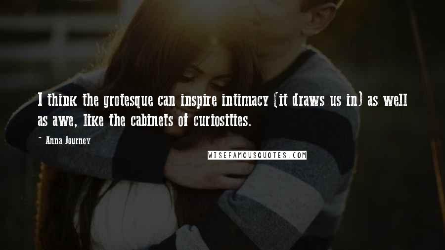 Anna Journey Quotes: I think the grotesque can inspire intimacy (it draws us in) as well as awe, like the cabinets of curiosities.