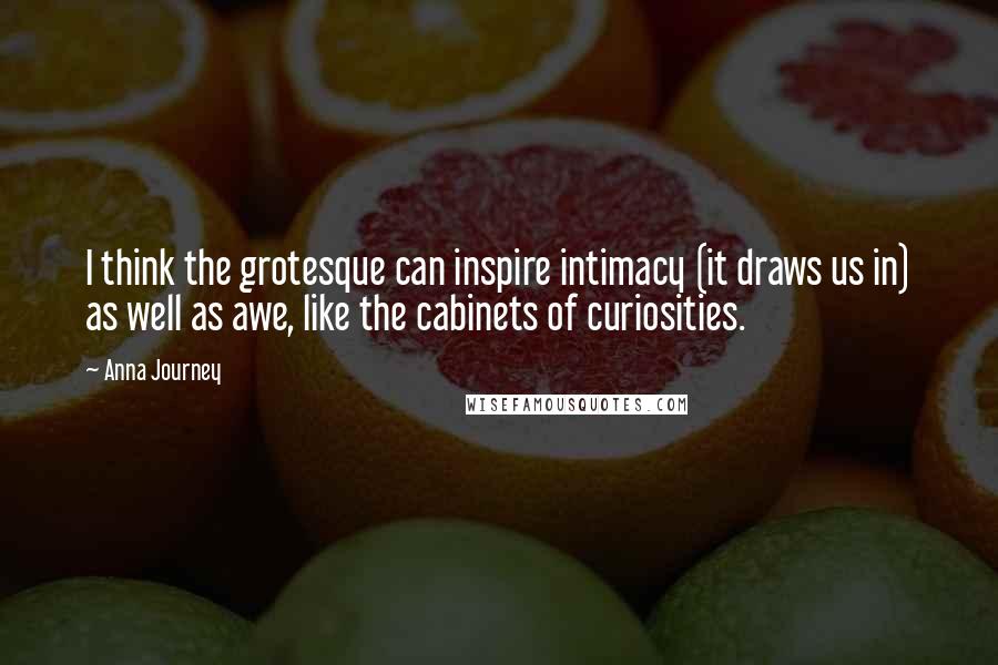 Anna Journey Quotes: I think the grotesque can inspire intimacy (it draws us in) as well as awe, like the cabinets of curiosities.