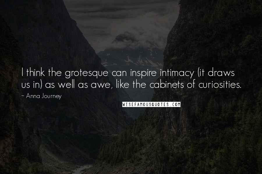 Anna Journey Quotes: I think the grotesque can inspire intimacy (it draws us in) as well as awe, like the cabinets of curiosities.