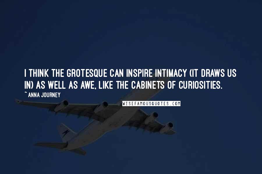 Anna Journey Quotes: I think the grotesque can inspire intimacy (it draws us in) as well as awe, like the cabinets of curiosities.