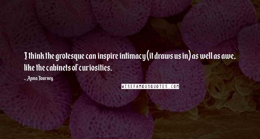 Anna Journey Quotes: I think the grotesque can inspire intimacy (it draws us in) as well as awe, like the cabinets of curiosities.