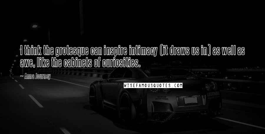 Anna Journey Quotes: I think the grotesque can inspire intimacy (it draws us in) as well as awe, like the cabinets of curiosities.