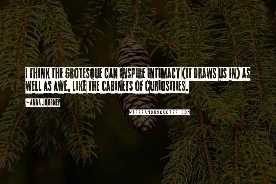 Anna Journey Quotes: I think the grotesque can inspire intimacy (it draws us in) as well as awe, like the cabinets of curiosities.