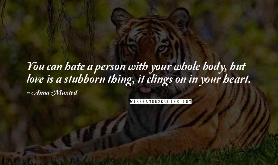 Anna Maxted Quotes: You can hate a person with your whole body, but love is a stubborn thing, it clings on in your heart.