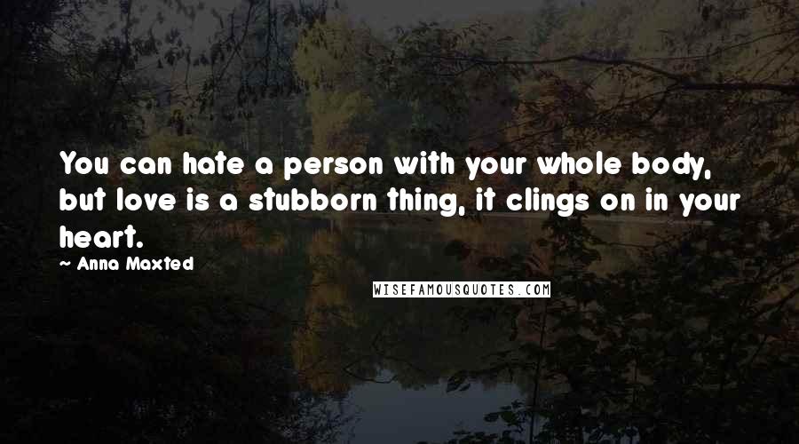 Anna Maxted Quotes: You can hate a person with your whole body, but love is a stubborn thing, it clings on in your heart.