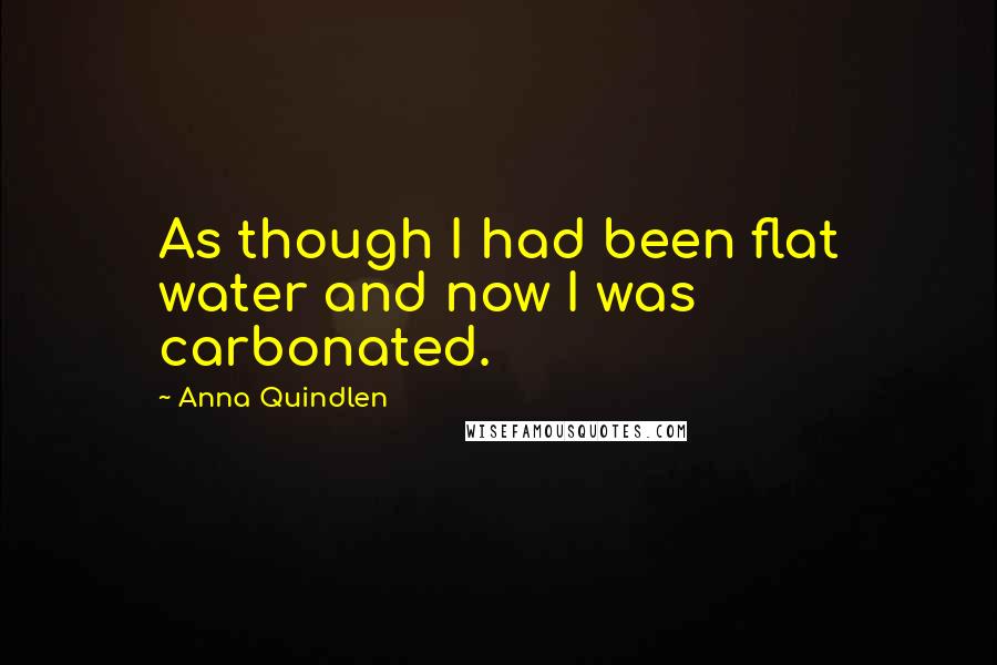 Anna Quindlen Quotes: As though I had been flat water and now I was carbonated.