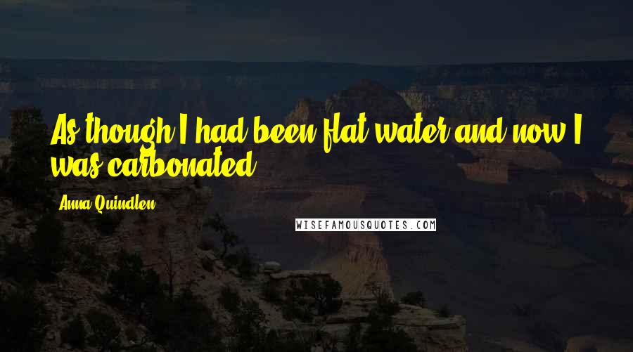 Anna Quindlen Quotes: As though I had been flat water and now I was carbonated.