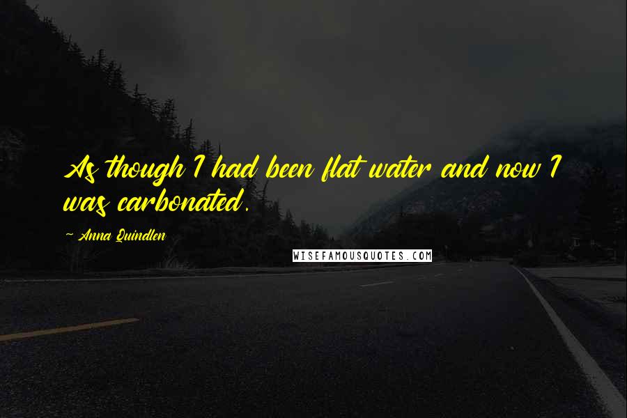 Anna Quindlen Quotes: As though I had been flat water and now I was carbonated.