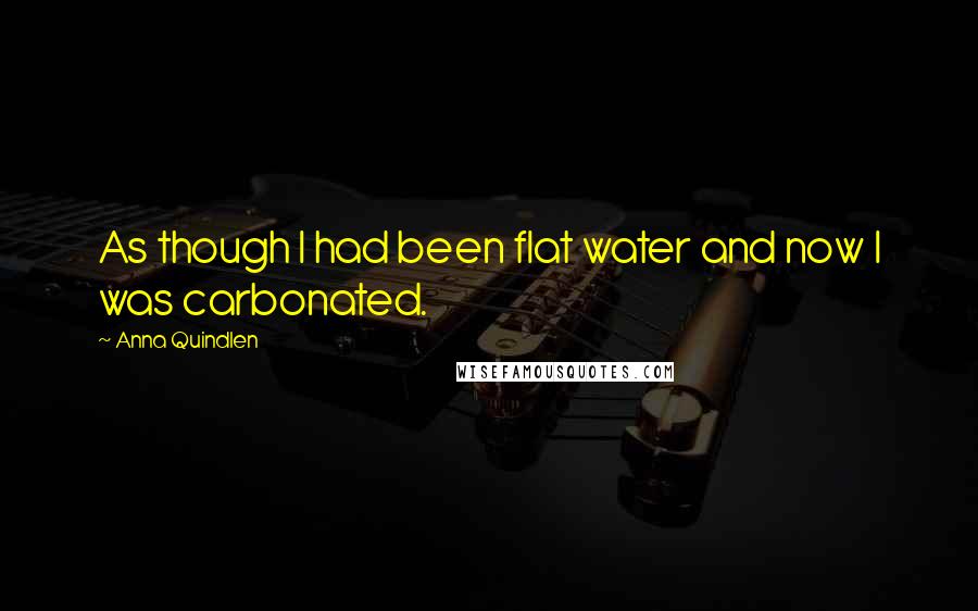 Anna Quindlen Quotes: As though I had been flat water and now I was carbonated.