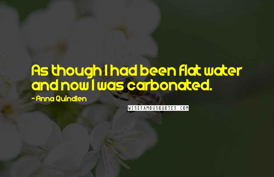 Anna Quindlen Quotes: As though I had been flat water and now I was carbonated.