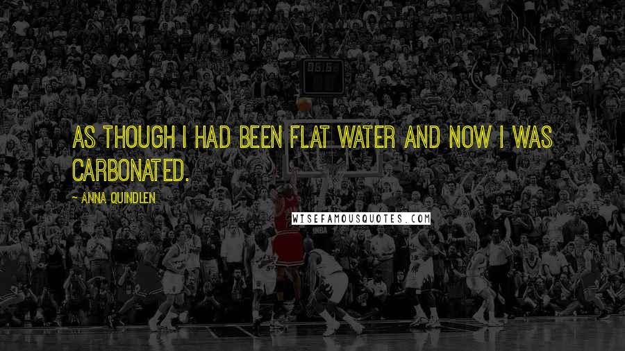 Anna Quindlen Quotes: As though I had been flat water and now I was carbonated.