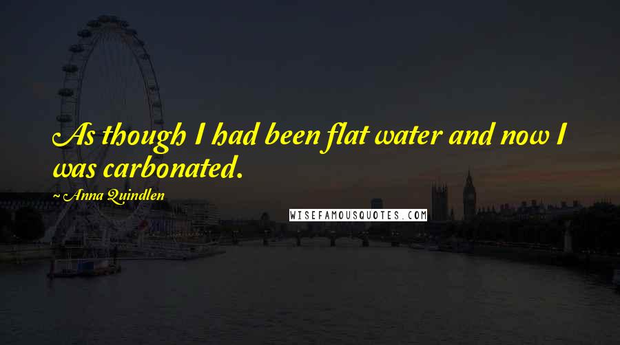 Anna Quindlen Quotes: As though I had been flat water and now I was carbonated.