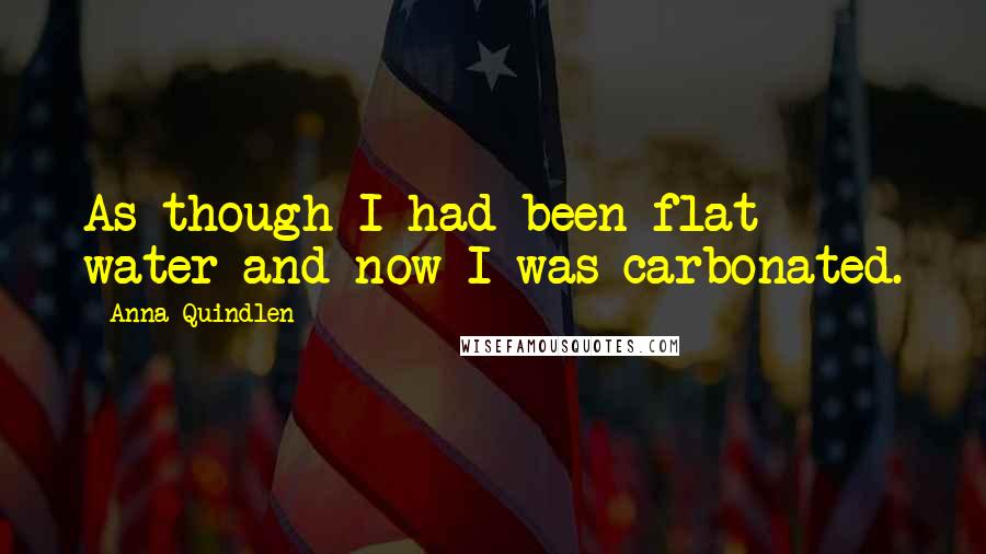 Anna Quindlen Quotes: As though I had been flat water and now I was carbonated.