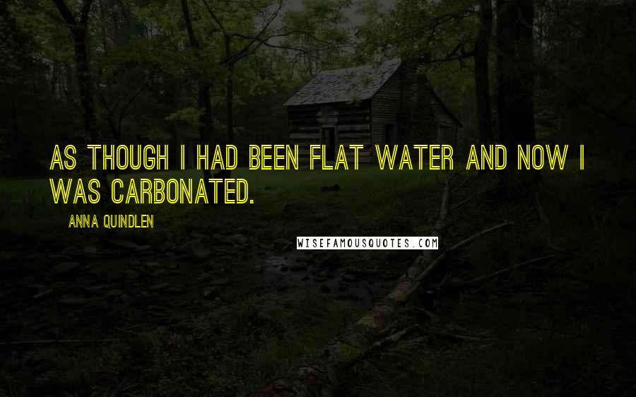 Anna Quindlen Quotes: As though I had been flat water and now I was carbonated.