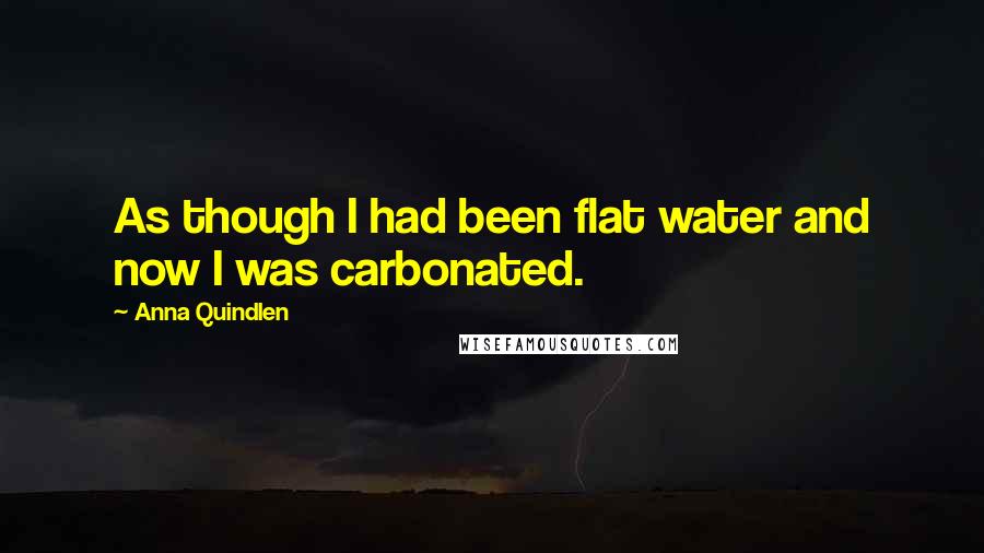 Anna Quindlen Quotes: As though I had been flat water and now I was carbonated.