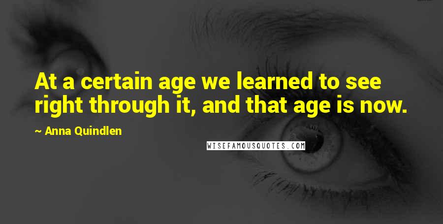 Anna Quindlen Quotes: At a certain age we learned to see right through it, and that age is now.