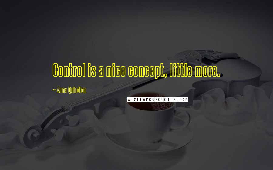 Anna Quindlen Quotes: Control is a nice concept, little more.