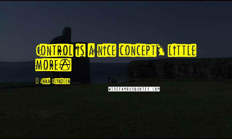 Anna Quindlen Quotes: Control is a nice concept, little more.