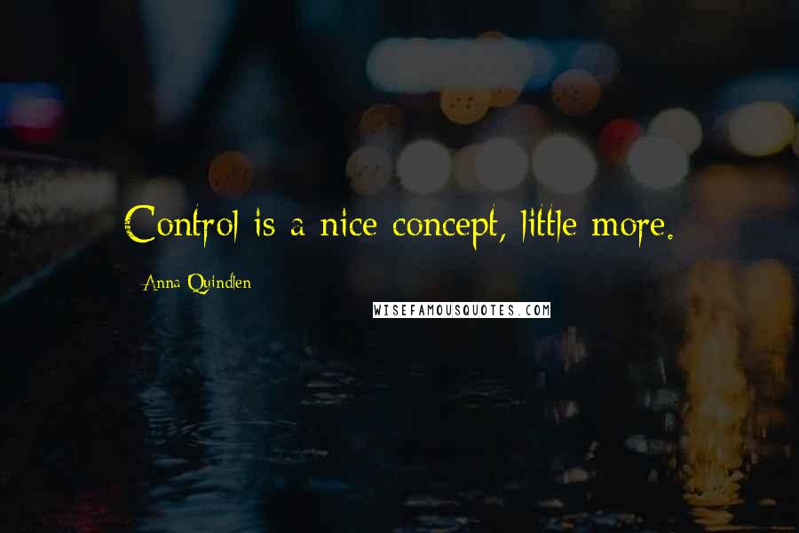 Anna Quindlen Quotes: Control is a nice concept, little more.