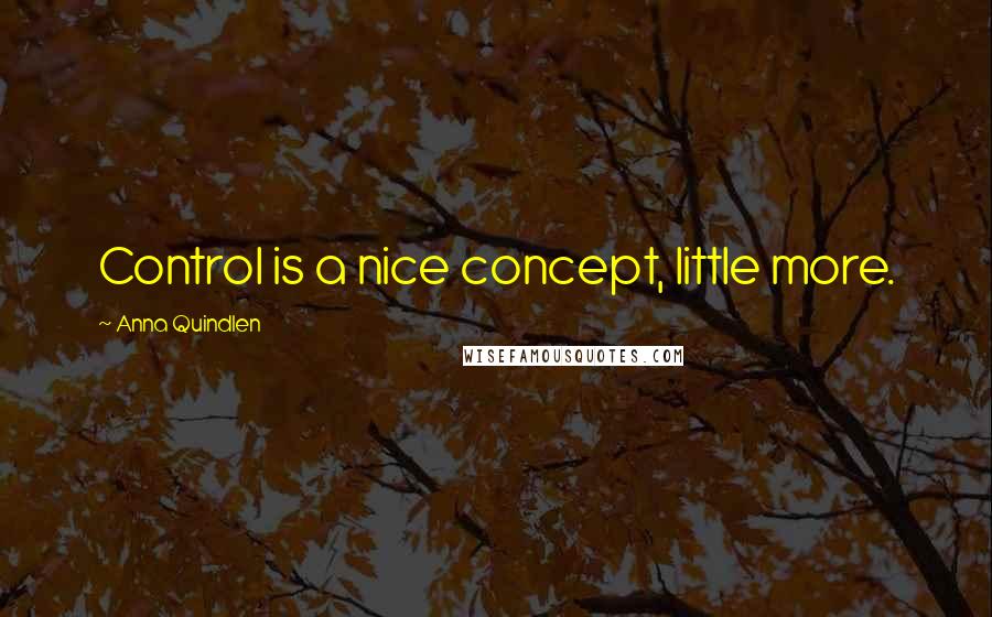 Anna Quindlen Quotes: Control is a nice concept, little more.