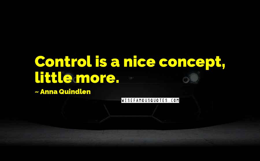 Anna Quindlen Quotes: Control is a nice concept, little more.