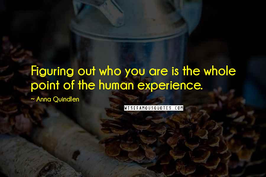 Anna Quindlen Quotes: Figuring out who you are is the whole point of the human experience.