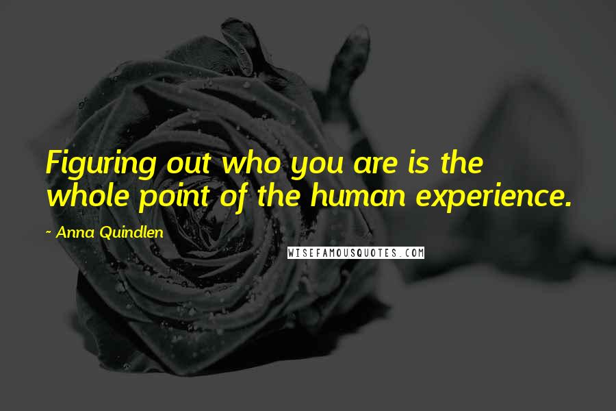 Anna Quindlen Quotes: Figuring out who you are is the whole point of the human experience.
