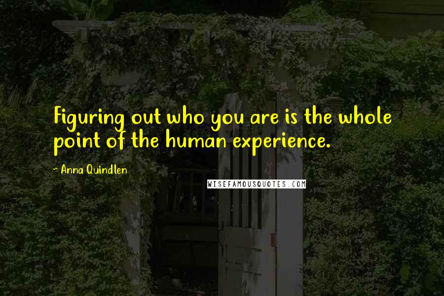 Anna Quindlen Quotes: Figuring out who you are is the whole point of the human experience.