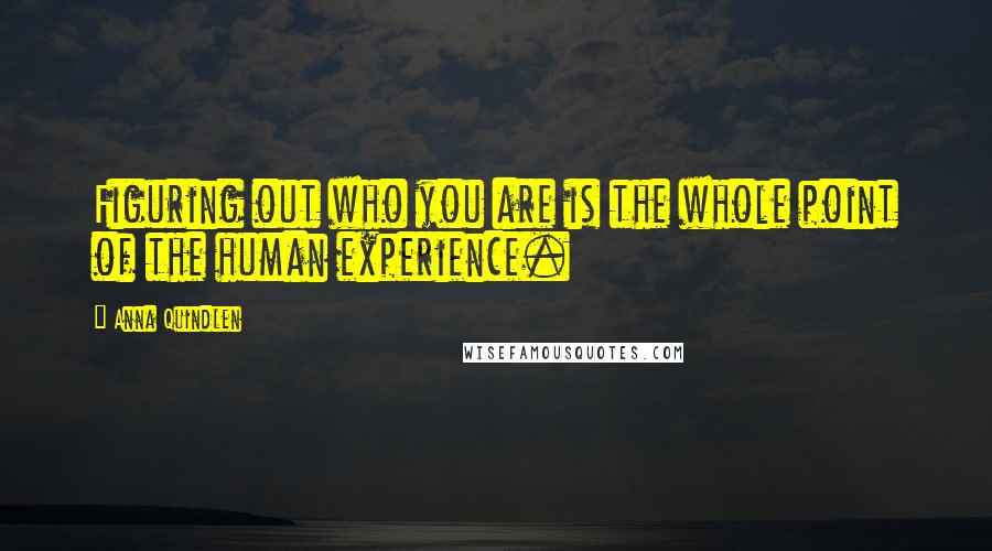 Anna Quindlen Quotes: Figuring out who you are is the whole point of the human experience.