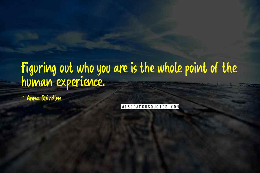 Anna Quindlen Quotes: Figuring out who you are is the whole point of the human experience.