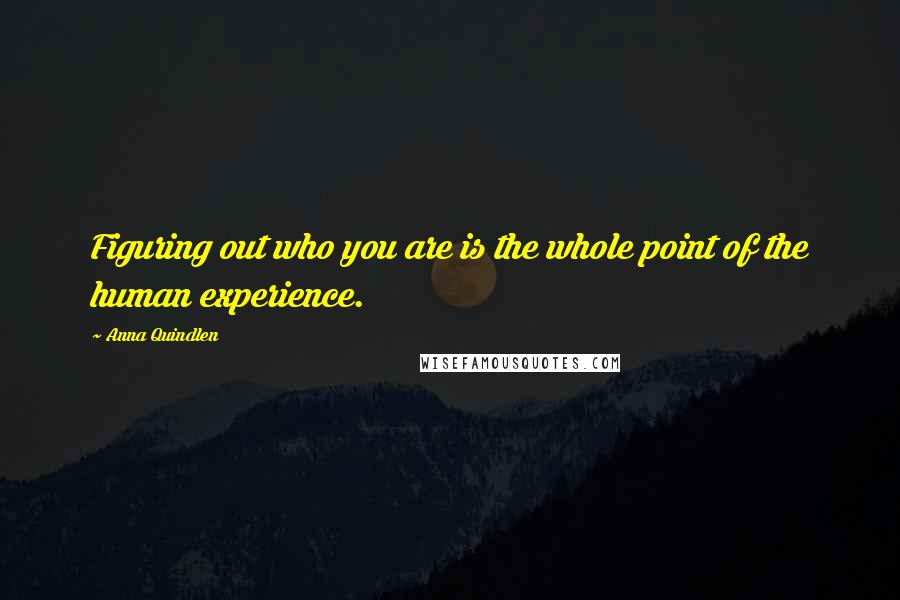 Anna Quindlen Quotes: Figuring out who you are is the whole point of the human experience.