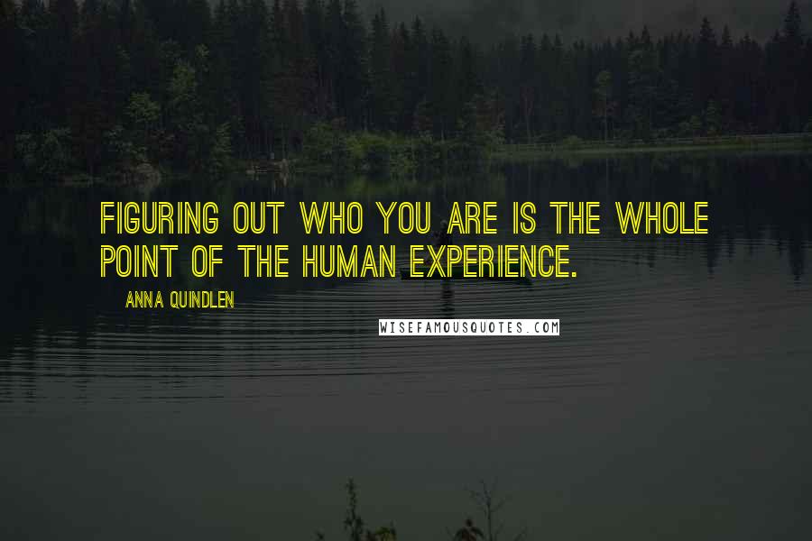 Anna Quindlen Quotes: Figuring out who you are is the whole point of the human experience.