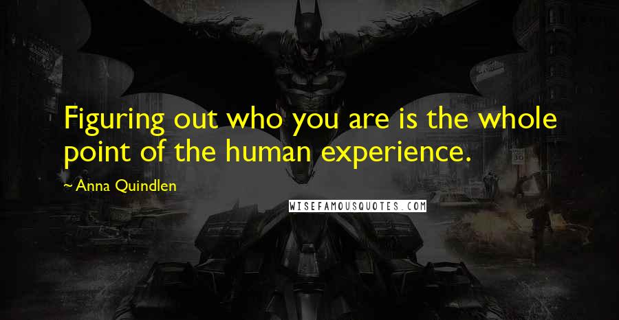 Anna Quindlen Quotes: Figuring out who you are is the whole point of the human experience.