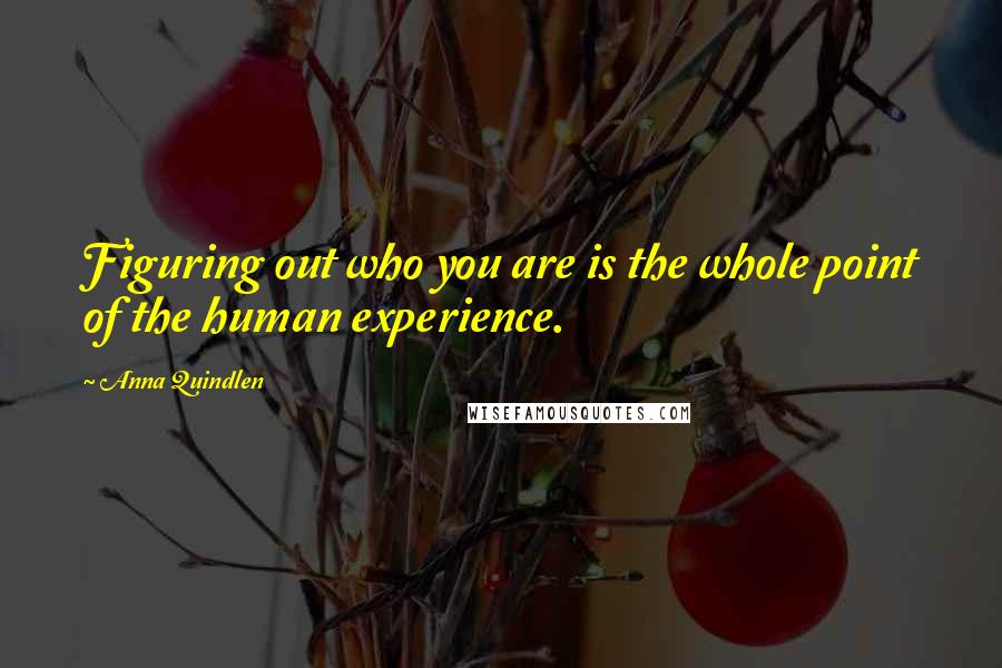 Anna Quindlen Quotes: Figuring out who you are is the whole point of the human experience.