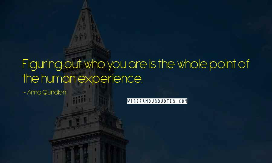Anna Quindlen Quotes: Figuring out who you are is the whole point of the human experience.