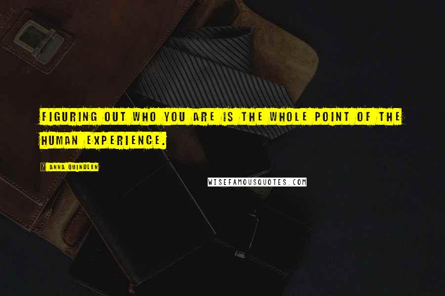 Anna Quindlen Quotes: Figuring out who you are is the whole point of the human experience.